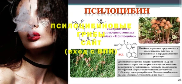 кокс Алексин