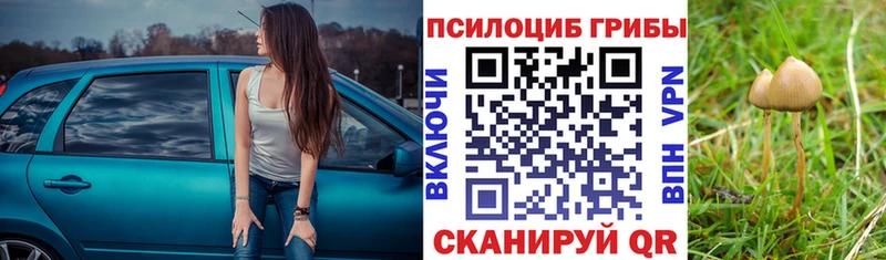 Псилоцибиновые грибы мухоморы  Опочка 